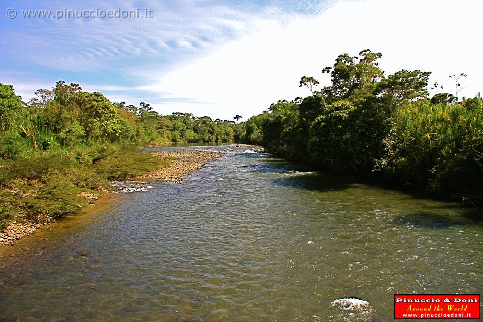 ECUADOR - Foresta Amazzonica - 14.jpg